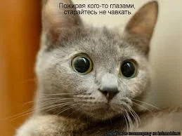 Без названия.webp