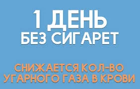 Без названия.webp