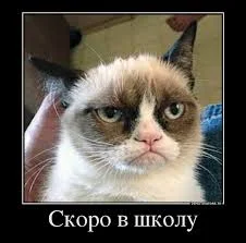 Без названия.webp