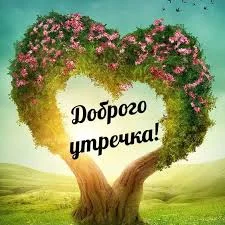 Без названия.webp