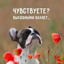 Без названия.webp