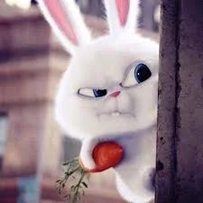 Без названия.webp