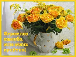 Без названия.webp