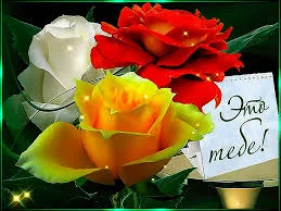 Без названия.webp