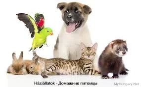 Без названия.webp