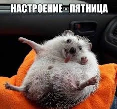 Без названия.webp