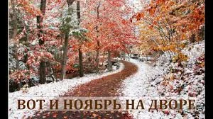 Без названия.webp