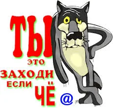 Без названия.webp