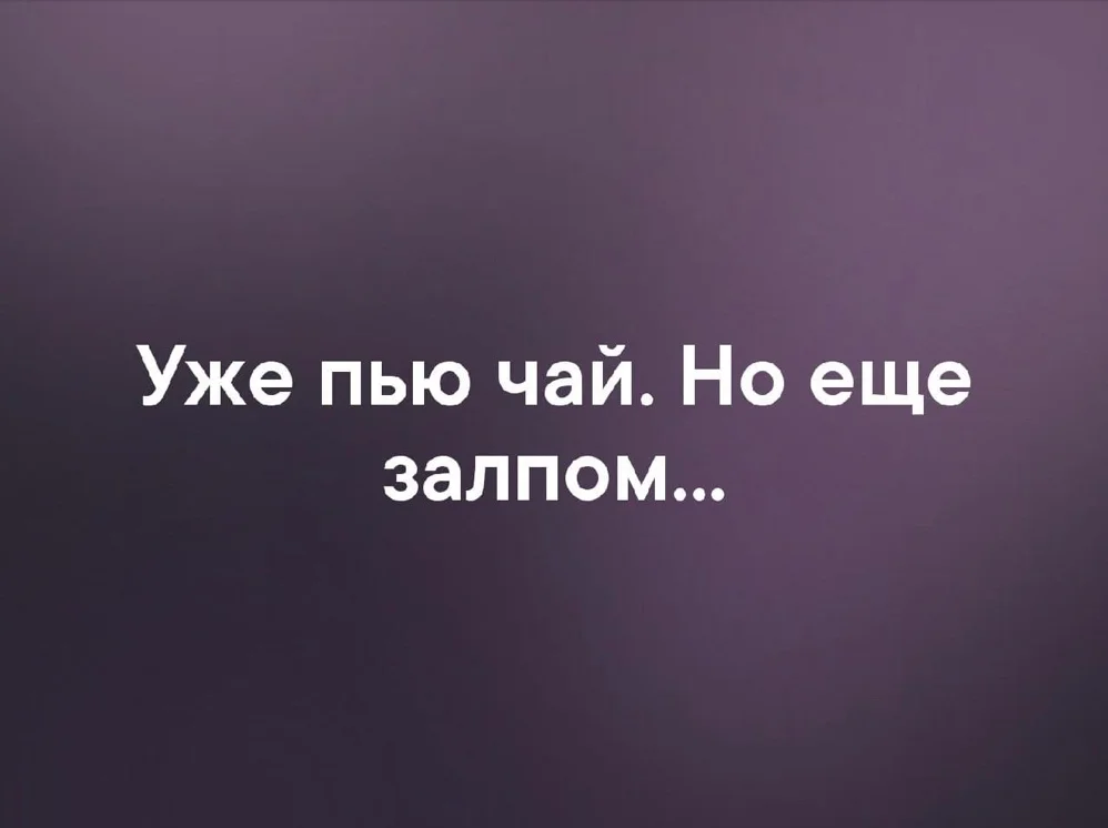 Без названия.webp