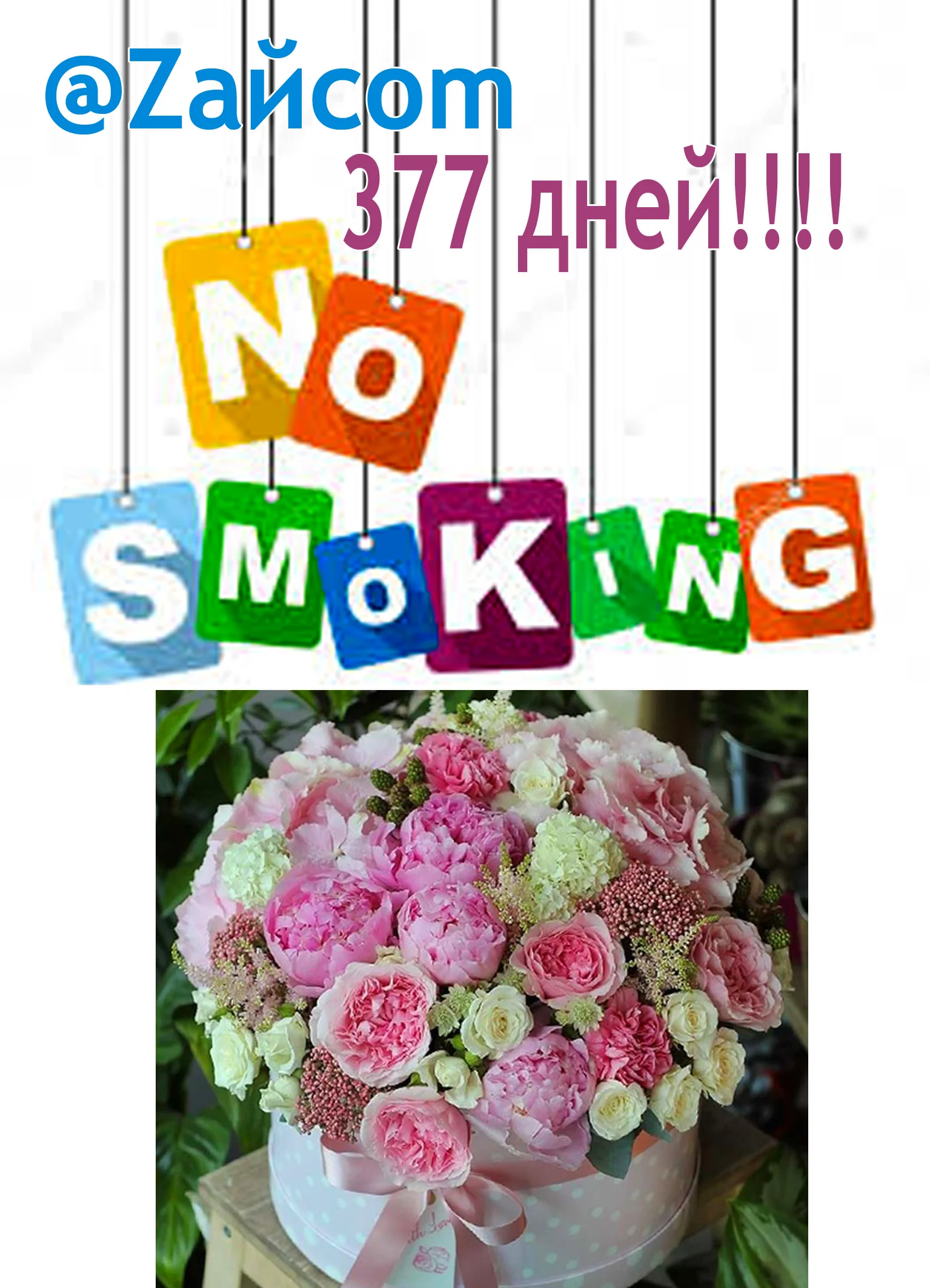 Без названия.webp