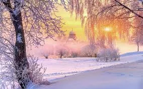 Без названия.webp