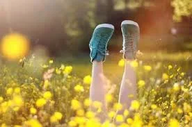 Без названия.webp