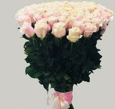 Без названия.webp