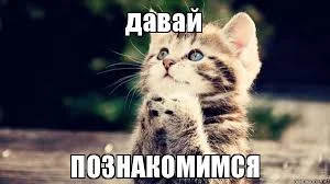 Без названия.webp