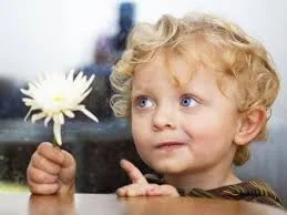 Без названия.webp