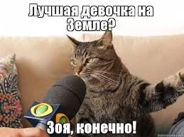 Без названия.webp