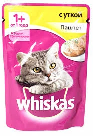 Без названия.webp