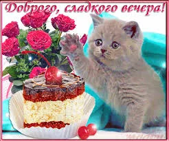 Без названия.webp