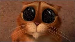 Без названия.webp