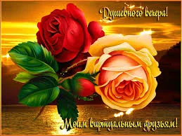 Без названия.webp