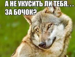 Без названия.webp