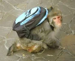 Без названия.webp