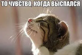 Без названия.webp