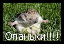 Без названия.webp