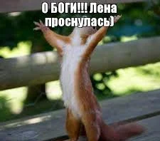 Без названия_1.webp