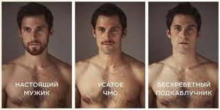 Без названия_1494527268205.webp