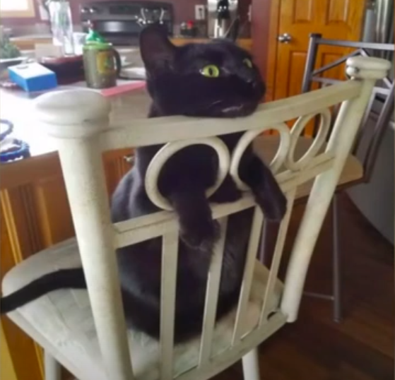 Безымянный (2).png