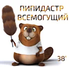 Безымянный бобер.webp