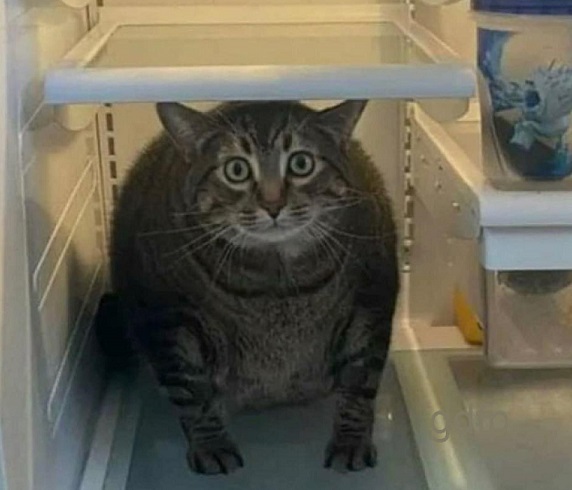 Безымянный файл изображения.jpg