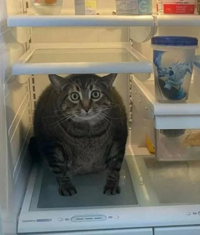 Безымянный файл изображения.webp