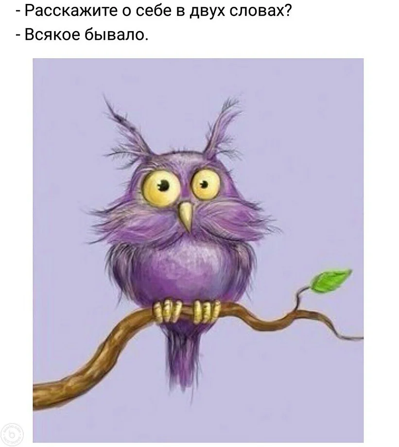 Безымянный файл изображения.webp