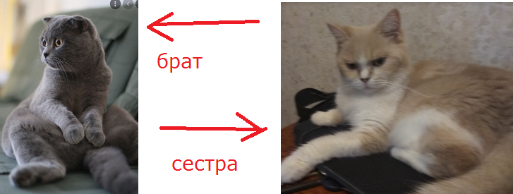 Безымянный.png