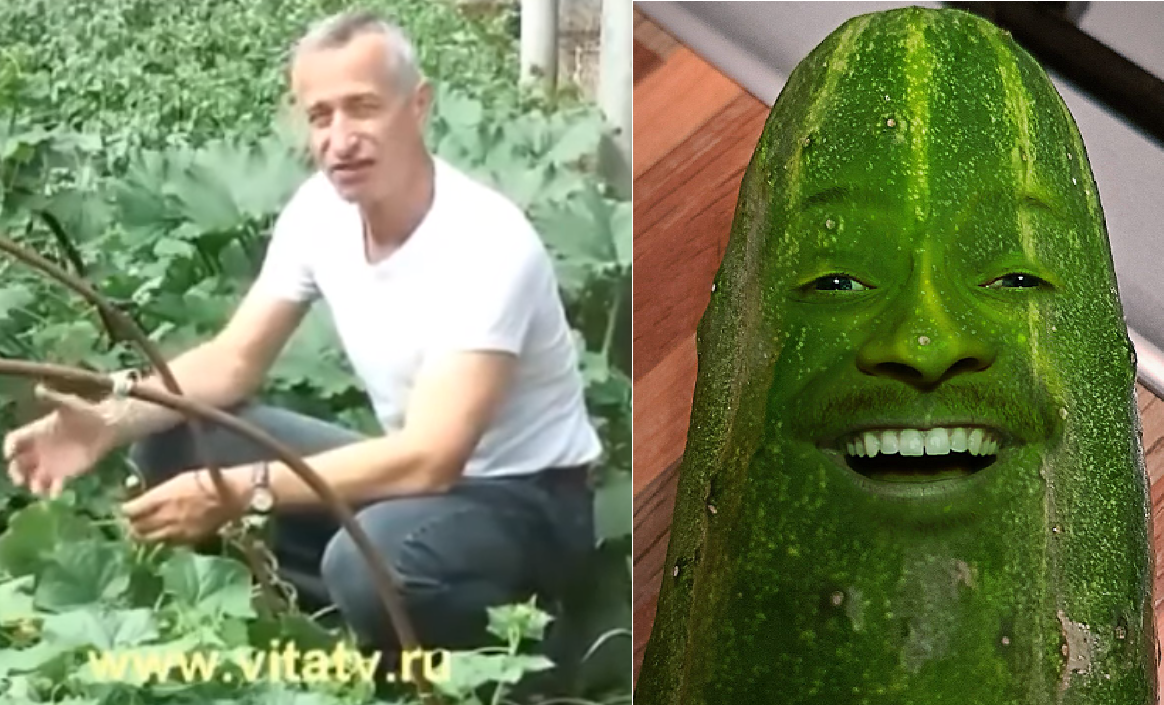 Безымянный.png