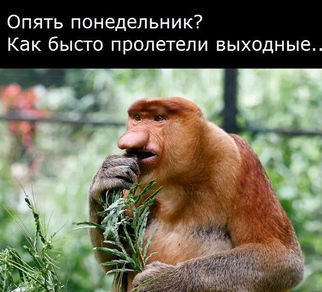 Безымянный.webp