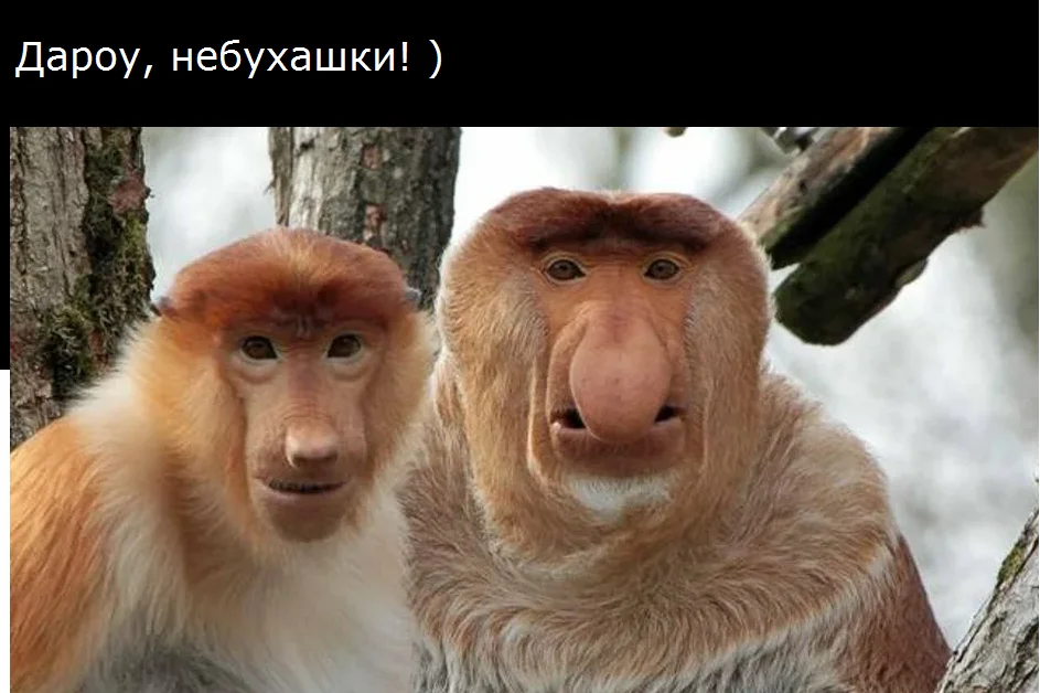 Безымянный.webp
