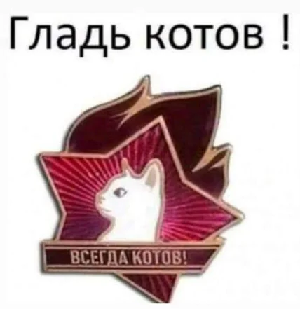 Безымянный.webp