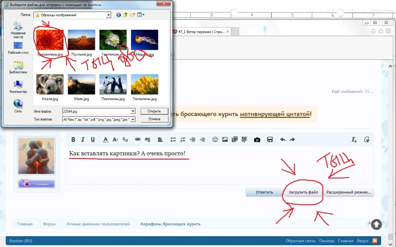 Безымянный.webp