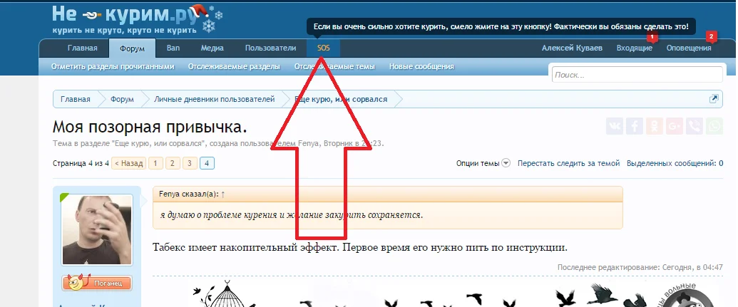 Безымянный.webp