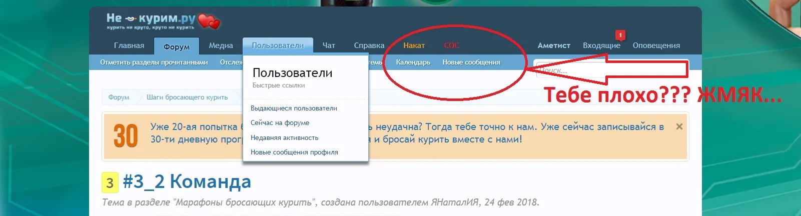Безымянный.webp