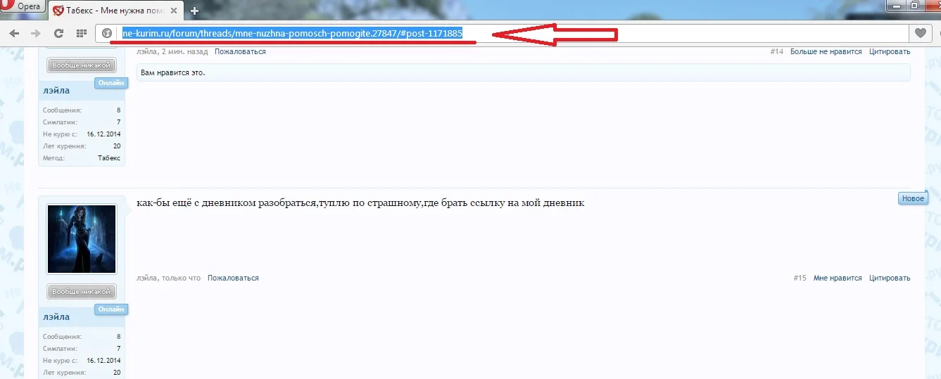 Безымянный.webp