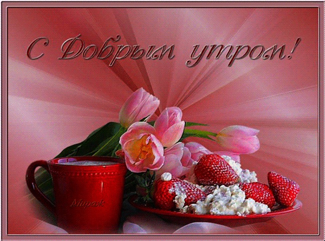 BF18A551-448D-48D6-9F1F-E7B2583A0949.jpeg