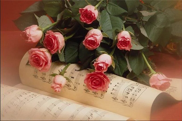bf2cadb94f58.webp