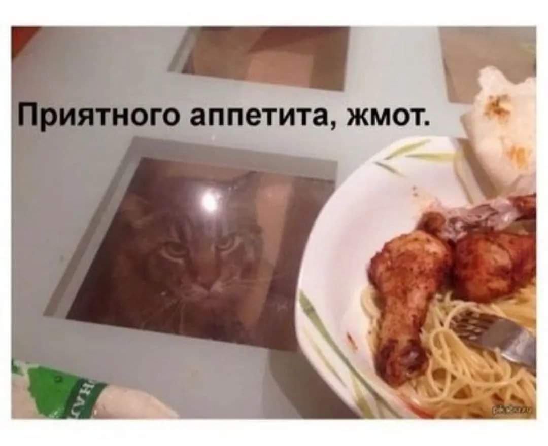 BF6F8D43-A50A-4840-8AD4-880455BD295C.jpeg
