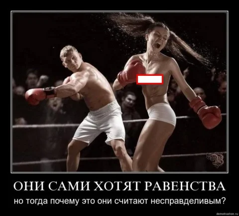 big.webp