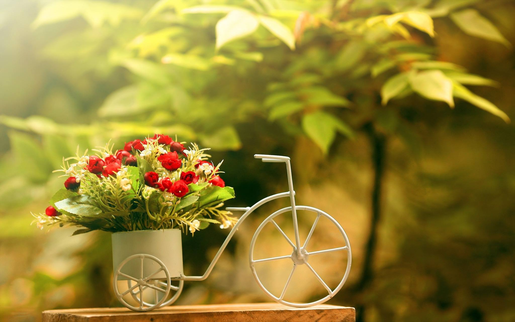 bike-flowers-roses [FreshMaza.Info].jpg