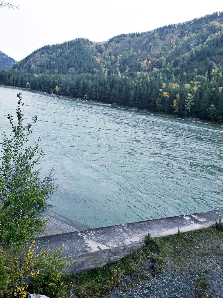 Бирюзовая вода Катунь.webp